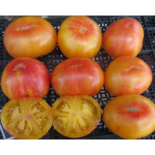 Редкие сорта томатов Деревенский лист картофеля 